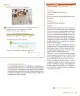 Miniatura página 91 de Sumo Primero – Segundo Básico | Texto del Estudiante MINEDUC – Descargar PDF · 2024