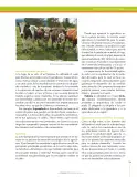 Miniatura página 209 de Ciencias Naturales 7° · Secundaria Activa