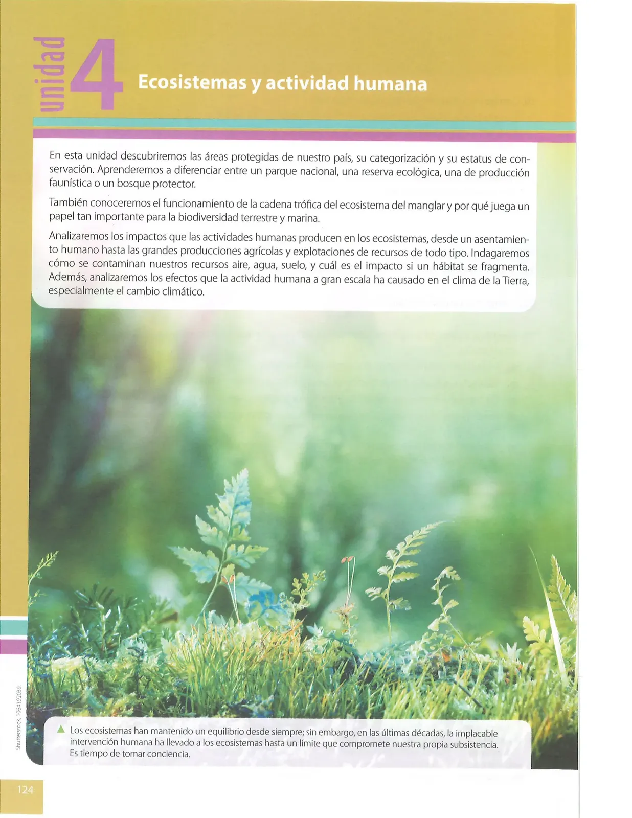 Miniatura página 123 de Ciencias Naturales · 8 EGB · 2025