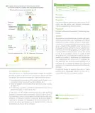 Miniatura página 41 de Sumo Primero – Tercero Básico | Texto del Estudiante MINEDUC – Descargar PDF · 2024