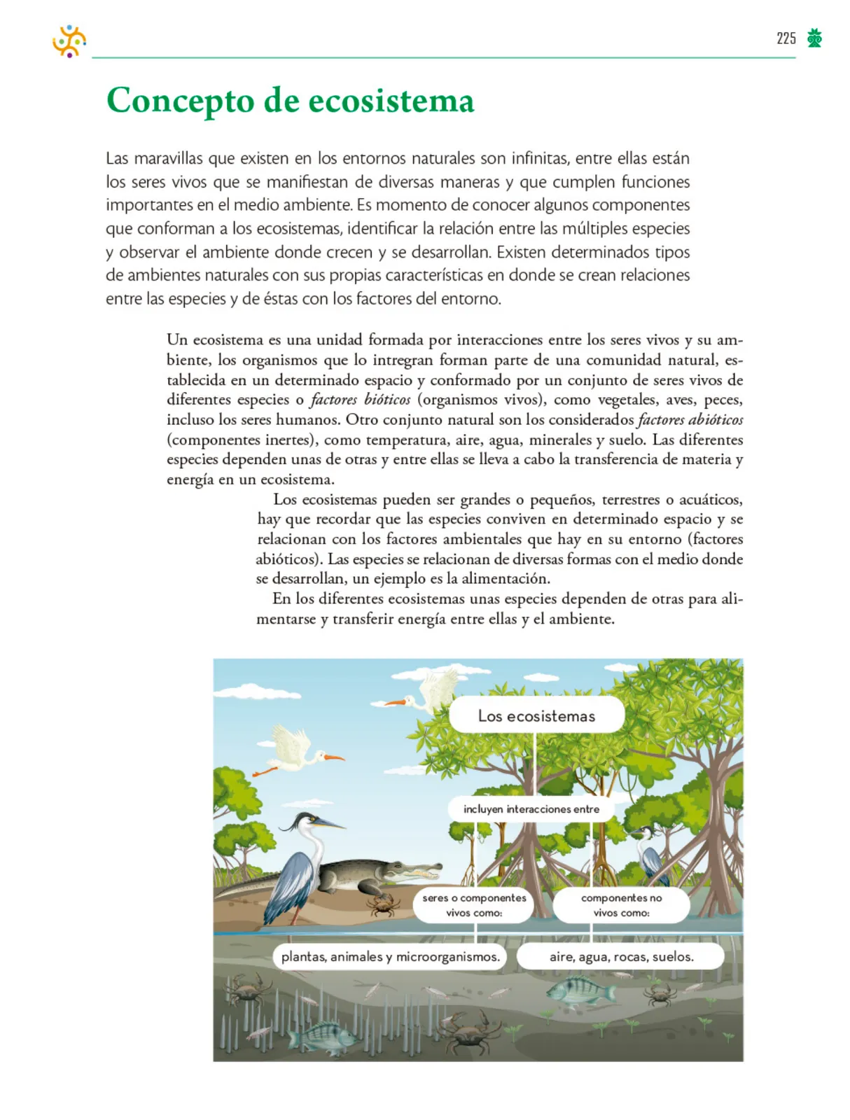 Página 226 de Colección Ximhai. Saberes y pensamiento científico. Libro de Educación Telesecundaria Grado 1° Ciclo Escolar 2025 - 2026