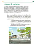 Miniatura página 226 de Colección Ximhai. Saberes y pensamiento científico.   Libro de Educación Telesecundaria Grado 1°  Ciclo Escolar 2025 - 2026