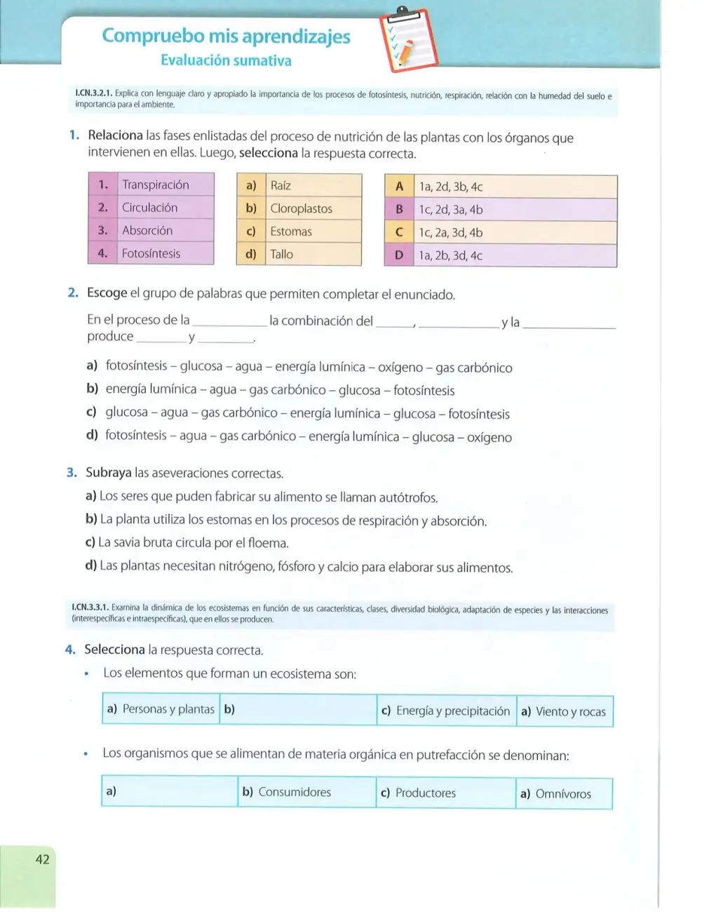 Página 41