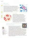 Miniatura página 75 de Nuestros saberes: Libro para alumnos, maestros y familia.   Libro de Educación Primaria Grado 6°  Ciclo Escolar 2025 - 2026