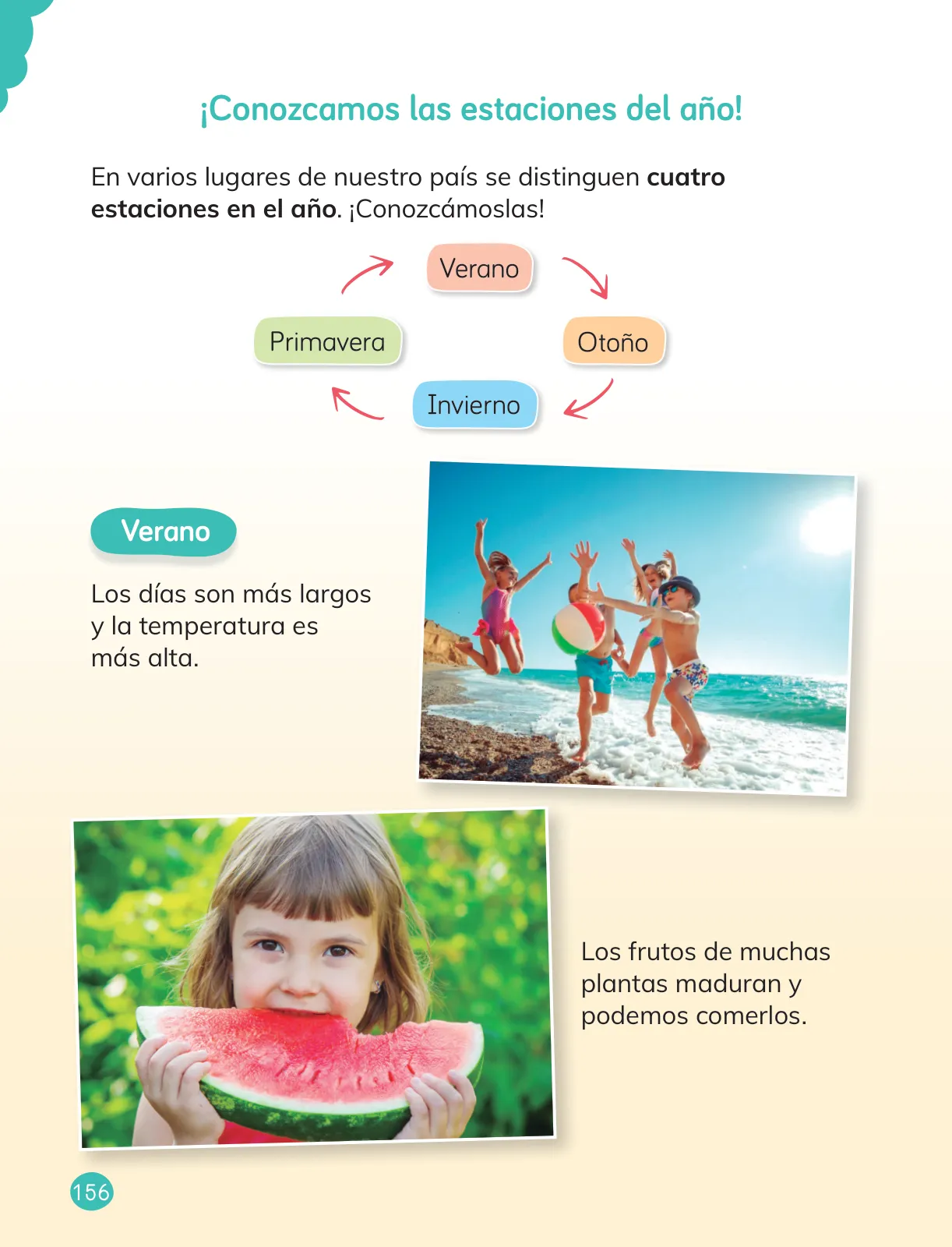 Miniatura página 158 de Ciencias Naturales – Primero Básico | Texto del Estudiante (MINEDUC) – Descargar PDF · 2024