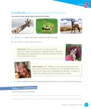 Miniatura página 175 de Lenguaje y Comunicación – Cuarto Básico | Texto del Estudiante MINEDUC – Descargar PDF · 2024
