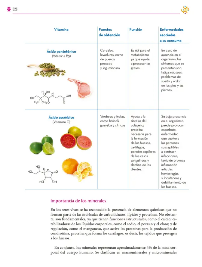 Página 327 de Colección Nanahuatzin. Saberes y pensamiento científico. Libro de Educación Secundaria Grado 3° Ciclo Escolar 2025 - 2026