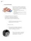 Miniatura página 17 de Proyectos Comunitarios.   Libro de Educación Primaria Grado 3°  Ciclo Escolar 2025 - 2026