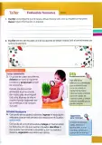 Miniatura página 36 de Ciencias Naturales 4° · Egb 4 Ciencias Naturales 2025 · 2025