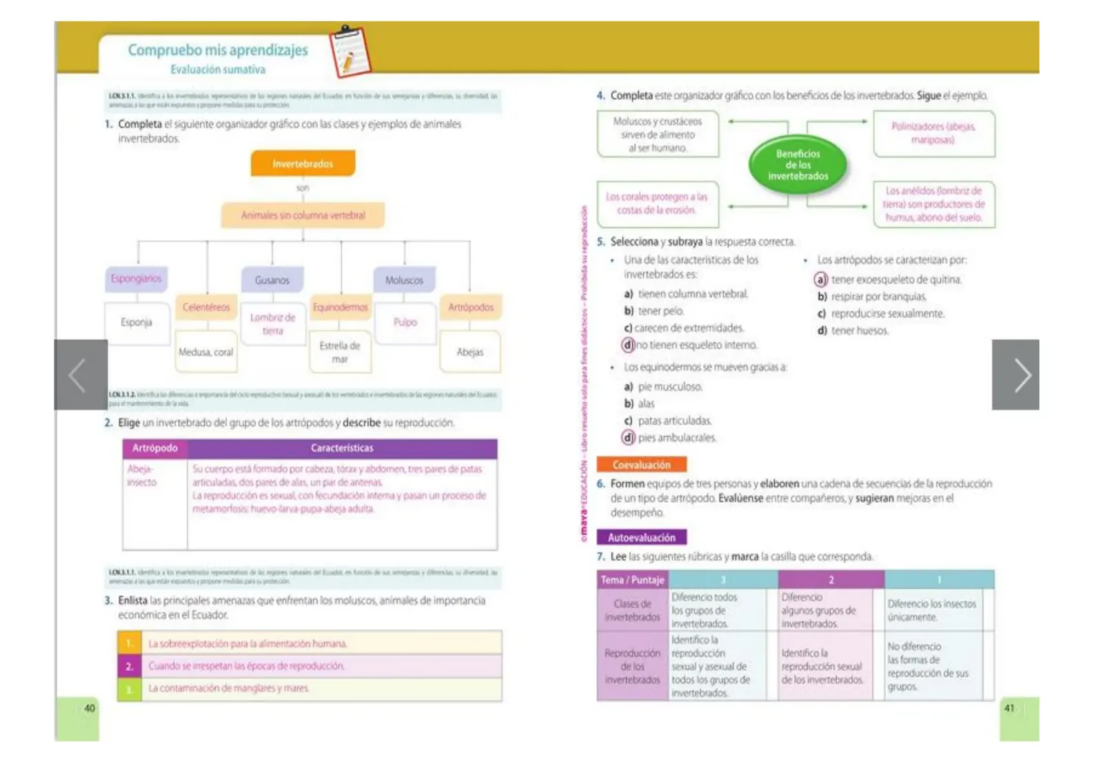 Página 20 de Ciencias Naturales 5° · Egb 5 Ciencias Naturales 2024 · 2024