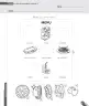 Miniatura página 27 de Inglés – Primero Básico | Student’s Book MINEDUC – Descargar PDF · 2024