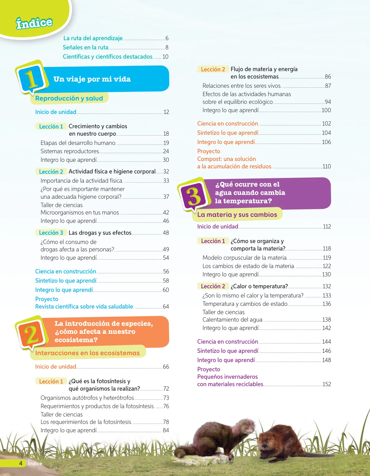 Miniatura página 27 de Libro de Ciencias Naturales – Quinto Básico | Texto del Estudiante MINEDUC – Descargar PDF · 2024