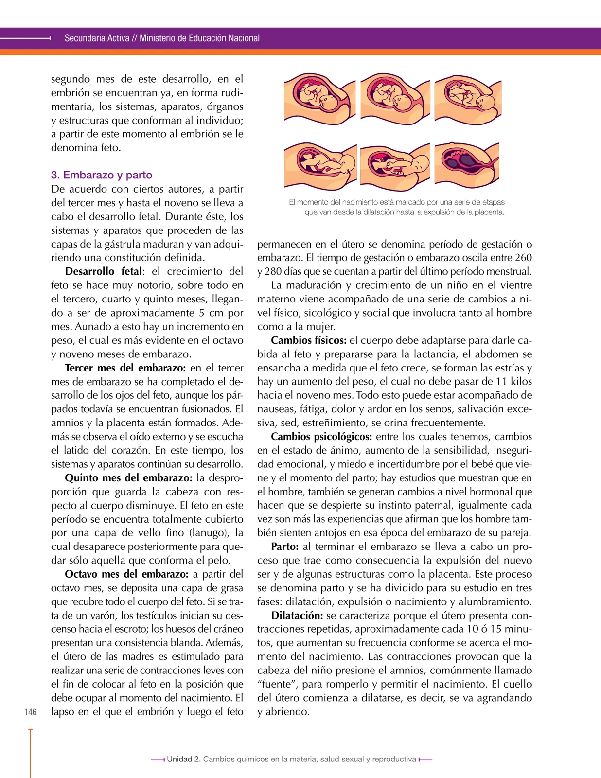 Página 146 de Ciencias Naturales 8° · Secundaria Activa
