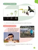 Miniatura página 55 de Ciencias Naturales – Primero Básico | Texto del Estudiante (MINEDUC) – Descargar PDF · 2024