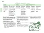 Pág 37