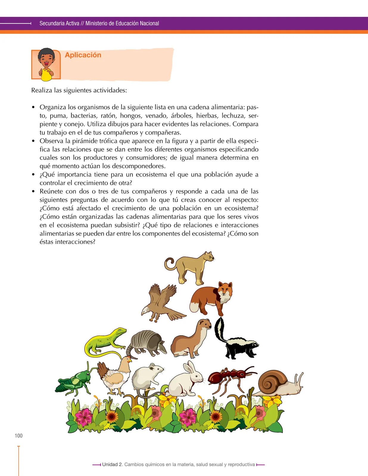 Miniatura página 100 de Ciencias Naturales 8° · Secundaria Activa