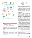 Miniatura página 19 de Sumo Primero – Cuarto Básico | Texto del Estudiante MINEDUC – Descargar PDF · 2024