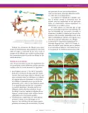 Miniatura página 103 de Ciencias Naturales 9° · Secundaria Activa