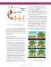 Miniatura página 103 de Ciencias Naturales 9° · Secundaria Activa
