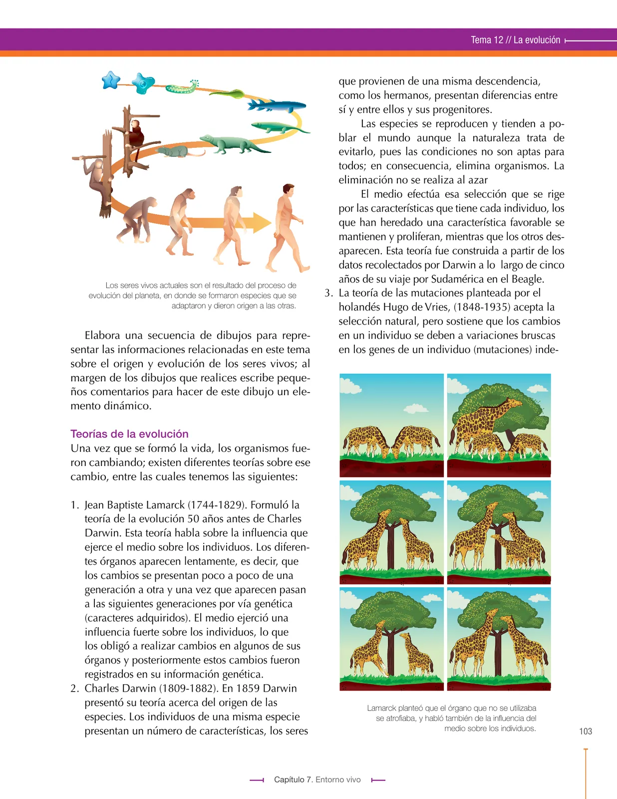 Miniatura página 103 de Ciencias Naturales 9° · Secundaria Activa