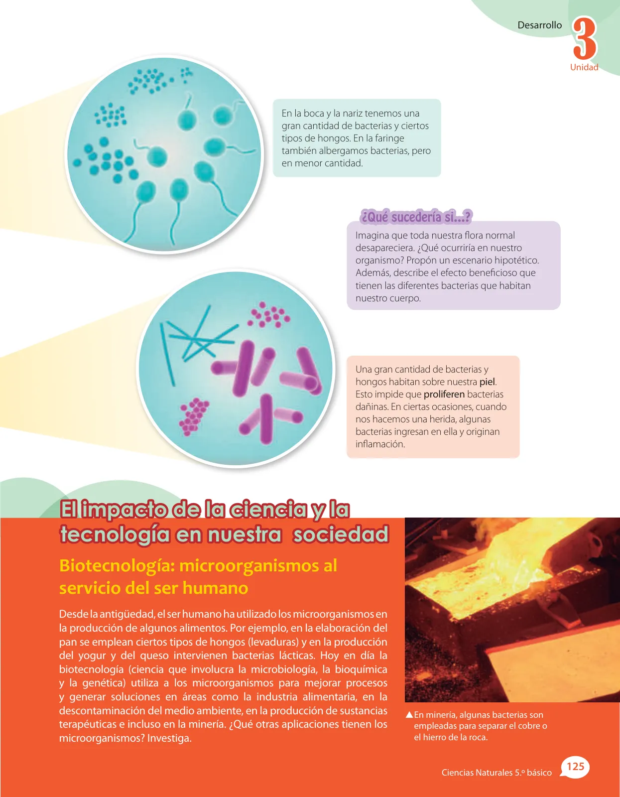 Miniatura página 79 de Libro de Ciencias Naturales – Quinto Básico | Texto del Estudiante MINEDUC – Descargar PDF · 2024