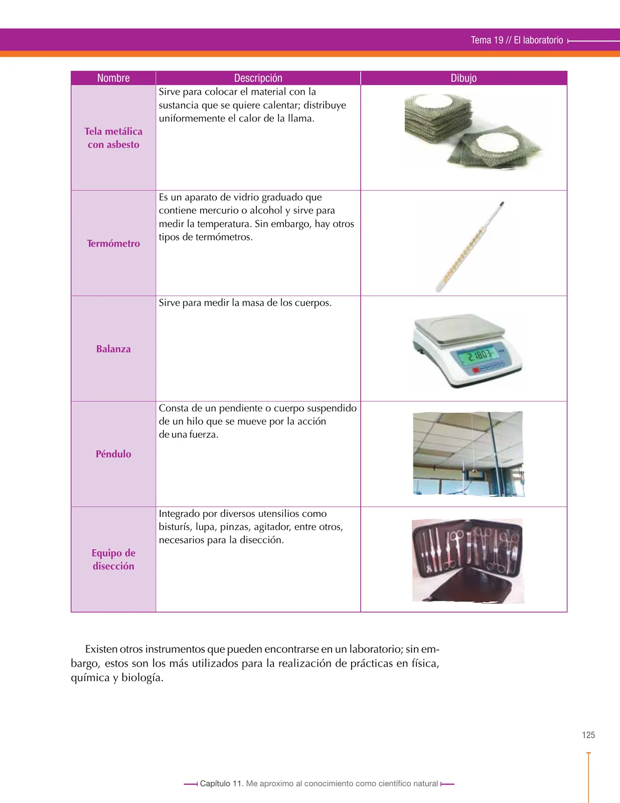 Página 127 de Ciencias Naturales 6° · Secundaria Activa