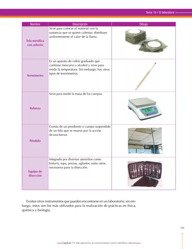 Página 127 de Ciencias Naturales 6° · Secundaria Activa