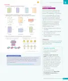 Miniatura página 25 de Matemática – Octavo Básico | Texto del Estudiante MINEDUC – Descargar PDF · 2024