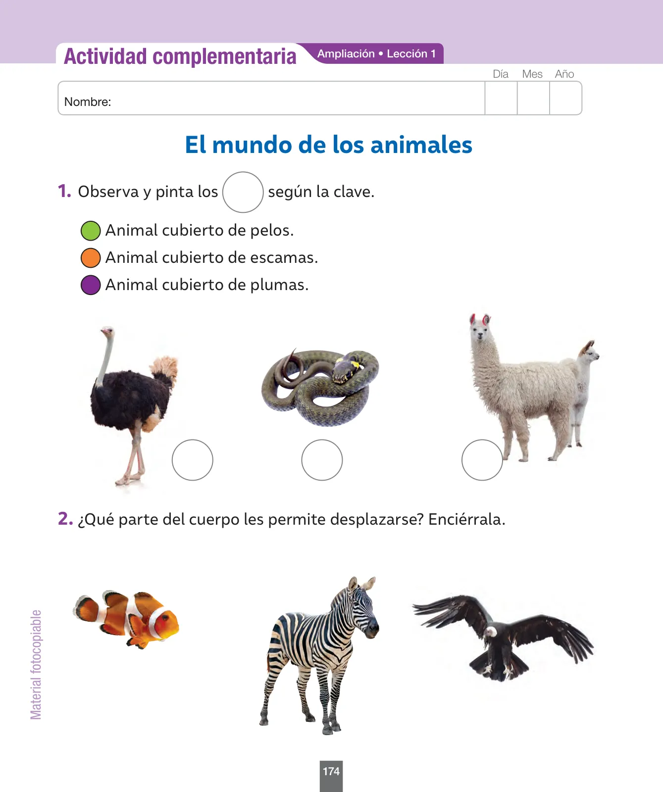 Página 175 de Ciencias Naturales – Primero Básico | Texto del Estudiante (MINEDUC) – Descargar PDF · 2024