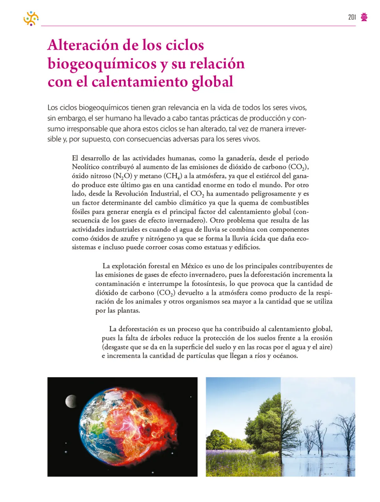 Página 202 de Colección Ximhai. Saberes y pensamiento científico. Libro de Educación Secundaria Grado 1° Ciclo Escolar 2025 - 2026