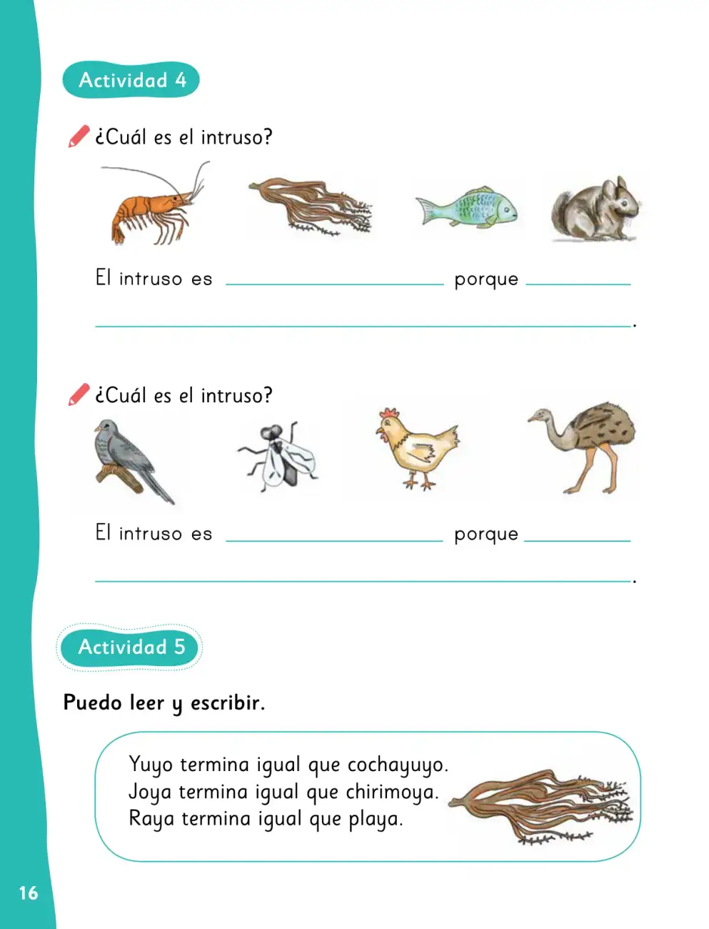 Página 19