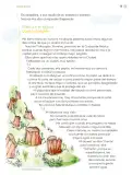 Miniatura página 32 de Proyectos de Aula.   Libro de Educación Primaria Grado 3°  Ciclo Escolar 2025 - 2026