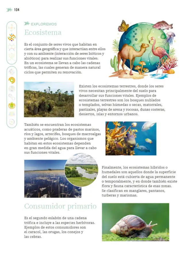 Página 105 de Nuestros saberes: Libro para alumnos, maestros y familia. Libro de Educación Primaria Grado 6° Ciclo Escolar 2025 - 2026