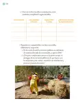 Miniatura página 227 de Proyectos Comunitarios.   Libro de Educación Primaria Grado 5°  Ciclo Escolar 2025 - 2026