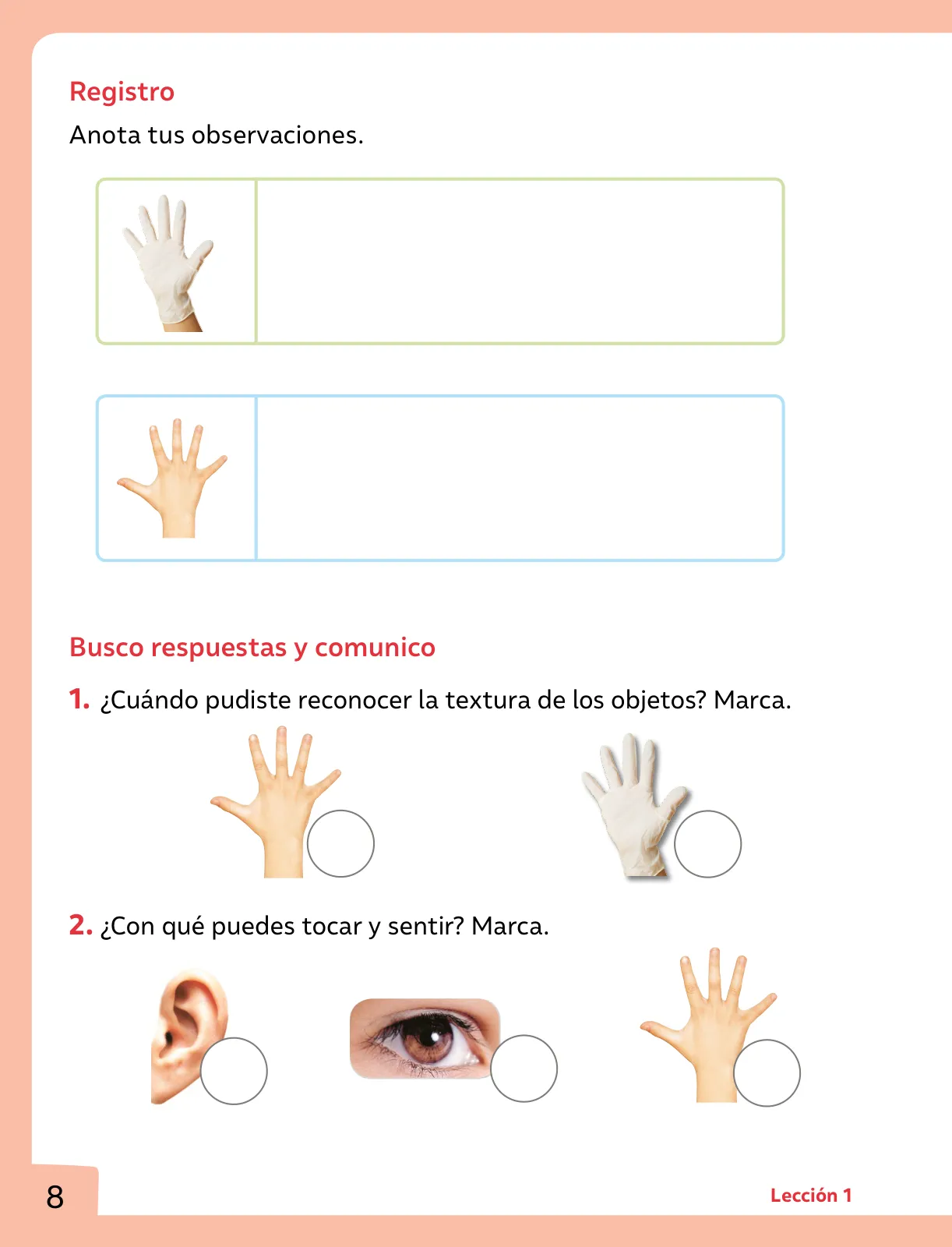 Miniatura página 9 de Ciencias Naturales – Primero Básico | Texto del Estudiante (MINEDUC) – Descargar PDF · 2024