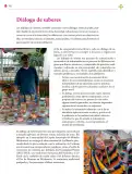Miniatura página 291 de Colección Sk´asolil. Lenguajes.   Libro de Educación Secundaria Grado 2°  Ciclo Escolar 2025 - 2026