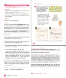 Miniatura página 30 de Libro de Sumo Primero – Sexto Básico | Texto del Estudiante MINEDUC – Descargar PDF · 2024