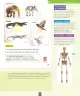 Miniatura página 72 de Ciencias Naturales – Segundo Básico | Texto del Estudiante MINEDUC – Descargar PDF · 2024