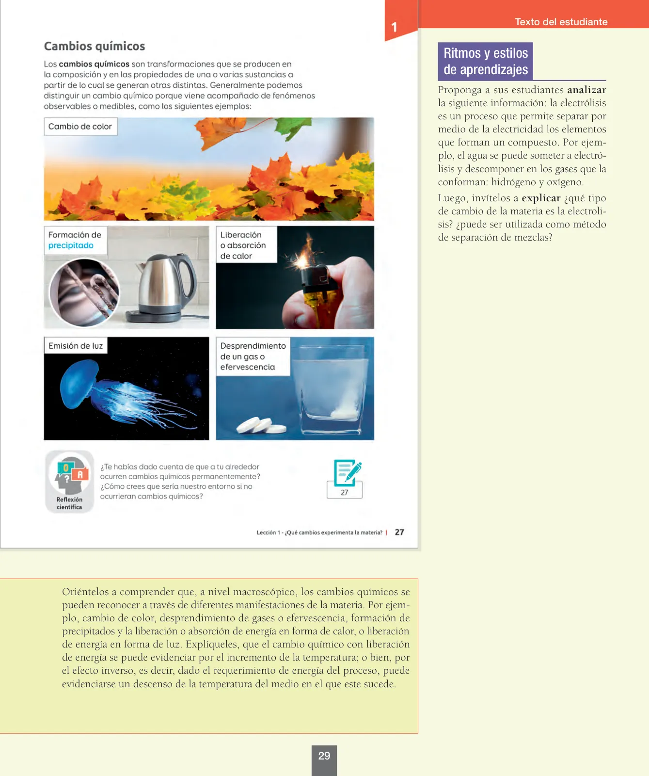 Página 30 de Ciencias Naturales – Séptimo Básico | Texto del Estudiante MINEDUC – Descargar PDF · 2024