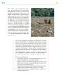Miniatura página 91 de Colección Ximhai. Ética, naturaleza y sociedades.   Libro de Educación Telesecundaria Grado 1°  Ciclo Escolar 2025 - 2026