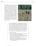 Miniatura página 91 de Colección Ximhai. Ética, naturaleza y sociedades.   Libro de Educación Telesecundaria Grado 1°  Ciclo Escolar 2025 - 2026