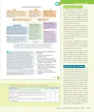 Miniatura página 118 de Historia, Geografía y Ciencias Sociales – Séptimo Básico | Texto del Estudiante MINEDUC – Descargar PDF · 2024