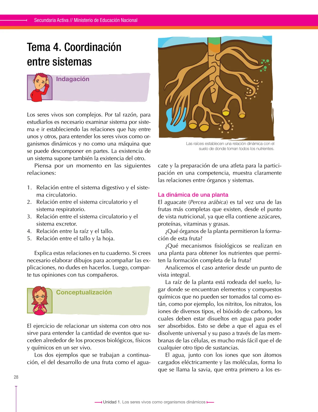 Página 28 de Ciencias Naturales 8° · Secundaria Activa