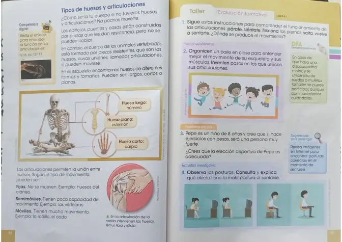 Página 28 de Ciencias Naturales 3° · Egb 3 Ciencias Naturales 2024 · 2024