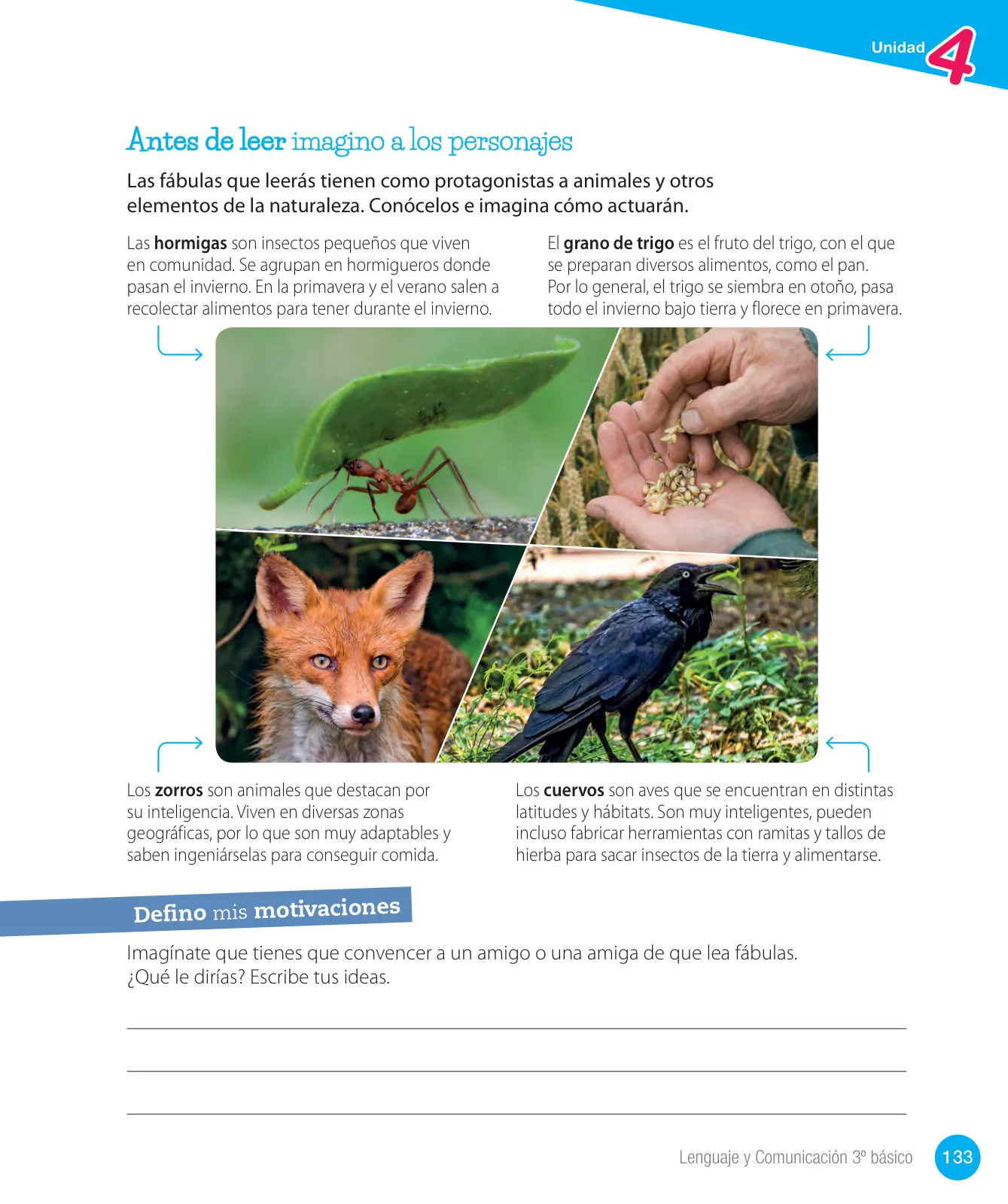 Miniatura página 135 de Lenguaje y Comunicación – Tercero Básico | Texto del Estudiante MINEDUC – Descargar PDF · 2024