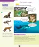 Miniatura página 137 de Ciencias Naturales – Segundo Básico | Texto del Estudiante MINEDUC – Descargar PDF · 2024