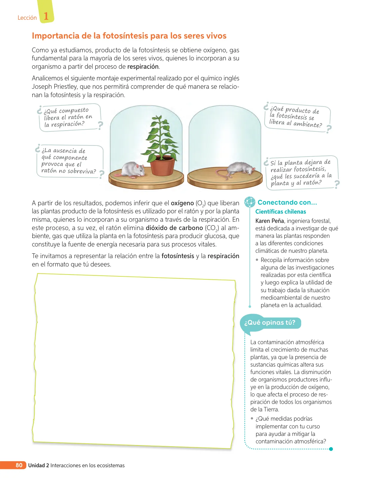 Miniatura página 199 de Libro de Ciencias Naturales – Quinto Básico | Texto del Estudiante MINEDUC – Descargar PDF · 2024