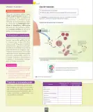 Miniatura página 45 de Ciencias Naturales – Séptimo Básico | Texto del Estudiante MINEDUC – Descargar PDF · 2024