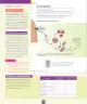 Miniatura página 45 de Ciencias Naturales – Séptimo Básico | Texto del Estudiante MINEDUC – Descargar PDF · 2024