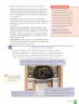 Miniatura página 105 de Historia, Geografía y Ciencias Sociales – Séptimo Básico | Texto del Estudiante MINEDUC – Descargar PDF · 2024